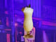 Pina Colada
