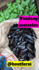 Mosselen