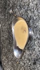 Champignon roomsaus